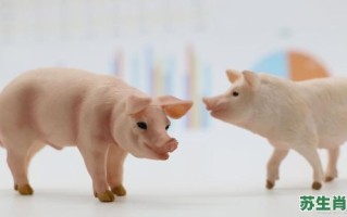 猪羊成群是什么生肖？羊猪成群我来发打一肖