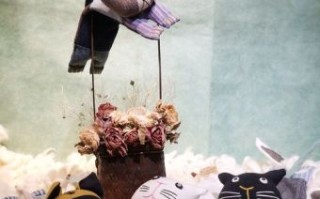 枕是什么生肖？枕字打一准确生肖