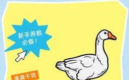 鹅是什么生肖？鹅打一个正确生肖