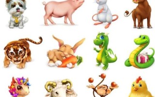 红男绿女是什么生肖？红男绿女打一准确动物