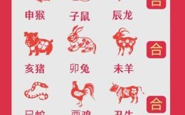 和 是什么生肖？和字代表什么生肖