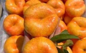 蟠桃是什么生肖？蟠字打一正确生肖