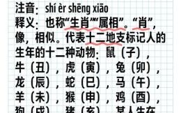 生肖怎么读音是什么？生肖还是生肖