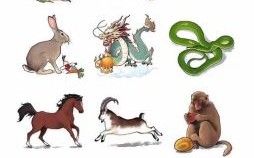 东西生肖是什么？东西打一个最佳生肖