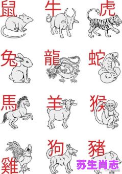 七手八脚是什么生肖?七手八脚打一准确动物 七手八脚是什么生肖?七手八脚打一准确动物