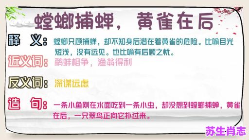 螳螂捕蝉是什么生肖？螳螂捕蝉打一最佳动物