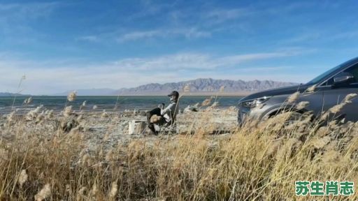 风餐露宿是什么生肖？风餐露宿最正确生肖