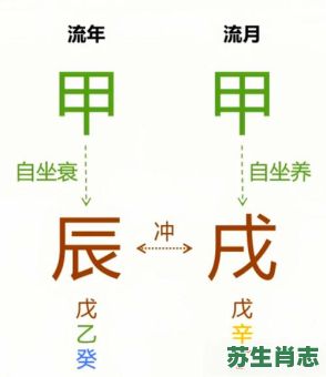 戌是什么生肖？戌打一准确生肖