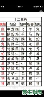 浪迹天涯是什么生肖？浪迹天涯打准确一生肖