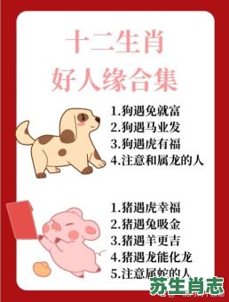 招兵买马是什么生肖？扮猪吃老虎最准确一肖