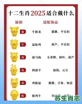 2025年是什么生肖年？2025年属啥的
