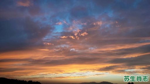 日落西山一片红是什么生肖?日落西山打一正确的生肖 日落西山一片红是什么生肖?日落西山打一正确的生肖