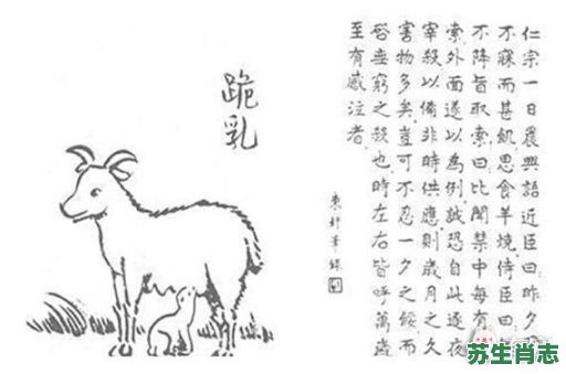 跪乳的动物是什么生肖？十二生肖跪乳是哪几肖