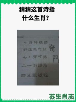 包罗万象是什么生肖？包罗万象最正确一肖