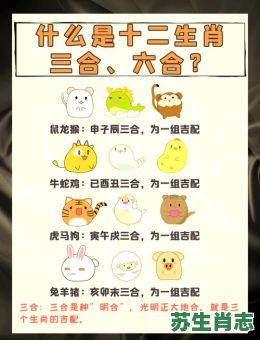 六根清净是什么生肖？六根清净打一准确动物