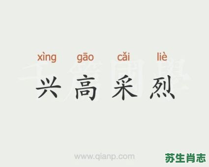 兴高采烈是什么生肖？兴高采烈最佳准确一肖