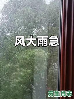 风雨交加是什么生肖？风雨交加打一正确生肖