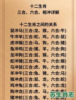 天下一家是什么生肖？天下一家的正确动物