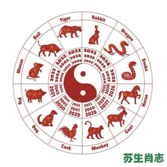 胆小的动物是什么生肖？胆小打一准确生肖