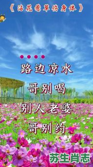 沾花惹草是什么生肖？拈花惹草打最准确一肖