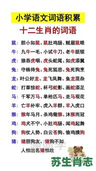 春风野火是什么生肖？春风野火打一准确动物