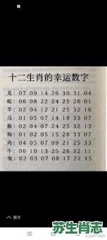 一五一十是什么生肖？一五一十最正确的一肖