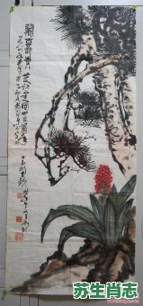 万古长青是什么生肖?万年长青打一准确生肖 万古长青是什么生肖?万年长青打一准确生肖