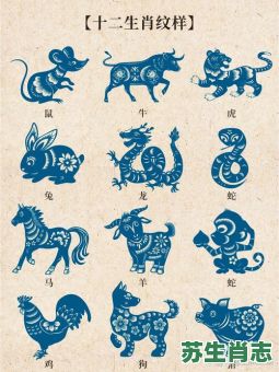 杯弓蛇影是什么生肖？班门弄斧打一准确生肖