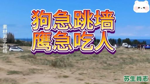 狗急跳墙是什么生肖？狗急跳墙打一准确动物