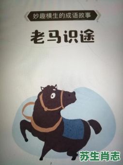 老马识途是什么生肖？老马识途打一准确动物