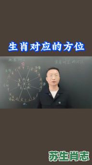 翻江倒海是什么生肖？翻江倒海正确答案一肖