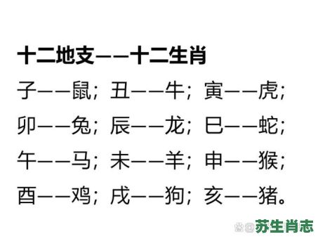 申是什么生肖？十二生肖谁是申