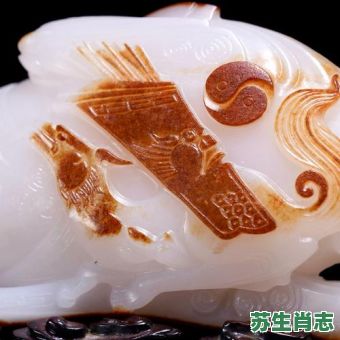 金戈铁马是什么生肖？金戈铁马最正确的动物