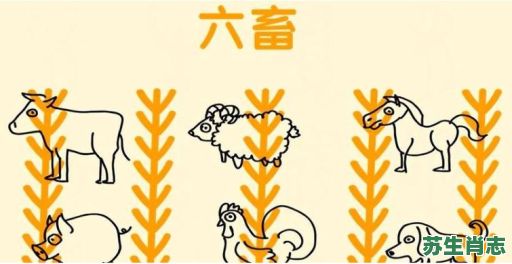 六畜的动物是什么生肖？六畜最正确一肖