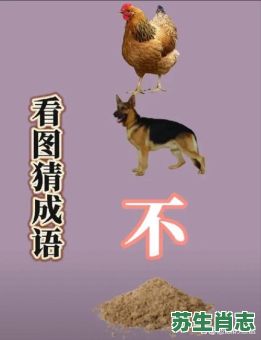 恬不知耻是什么生肖？恬不知耻打一最佳动物