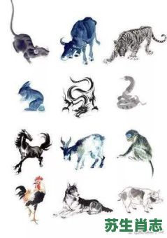 呼风唤雨是什么生肖？呼风唤雨打一最佳动物