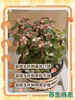 金枝玉叶最娇贵是什么生肖？金枝玉叶最准确的生肖