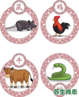 一毛不拔是什么生肖？一毛不拔最佳答案一肖