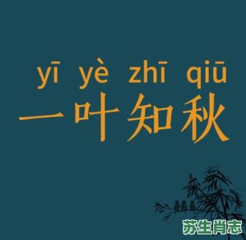 一叶知秋是什么生肖？一叶知秋打一准确动物