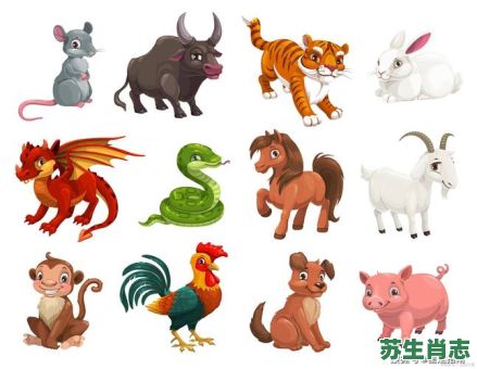 五彩缤纷是什么生肖？五彩缤纷打一准确动物