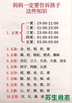 五更是什么生肖？五更打一动物