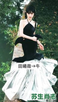 窈窕淑女是什么生肖？窈窕淑女打一准确生肖