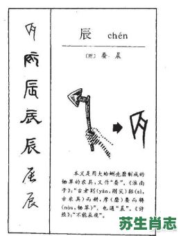 辰是什么生肖?辰字打一准确生肖 辰是什么生肖?辰字打一准确生肖