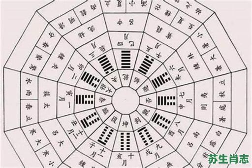 扫把星是什么生肖?扫把星打一准确动物 扫把星是什么生肖?扫把星打一准确动物