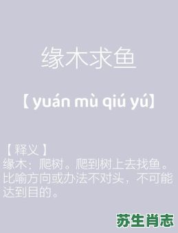 缘木求鱼是什么生肖？缘木求鱼最正确生肖