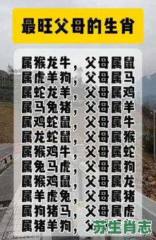 家门是什么生肖？家门打一准确动物