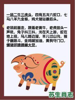 一九合数是什么生肖？今晚正确一肖生肖