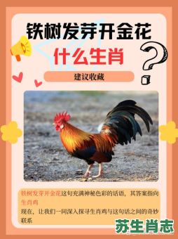 开金花是什么生肖？生肖开金花最准生肖