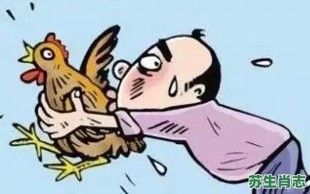 偷鸡不成蚀把米是什么生肖？偷鸡不成蚀把米正确一肖