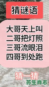 大哥是什么生肖?大哥打一准确生肖 大哥是什么生肖?大哥打一准确生肖